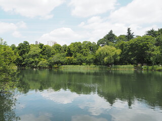 Inokashira Park in Tokyo, Japan