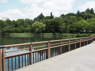 Obraz premium Inokashira Park in Tokyo, Japan