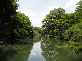 Fototapeta premium Inokashira Park in Tokyo, Japan