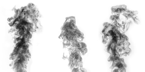 A perfect set of three different mystical curly black steam or smoke on a white background, negative.