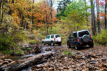 a convoy of cars is moving along a dirt road. travel by car in the taiga