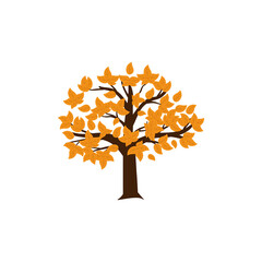 Naklejka na ściany i meble Autumn tree icon design template vector isolated illustration