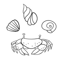 Cancer, crab, shells isolated on white background. Underwater world, coral reef, sea, ocean, marine. Vector illustration. Doodle style, line art, simple pictures. Tourism, diving, traveling, explore.
