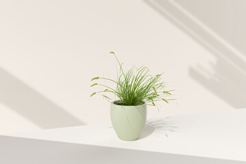 Tree pot in white background. minimal concept idea creative. 3D render.