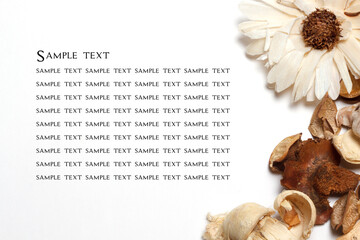 Dried flowers to the right of the white background, sample text.