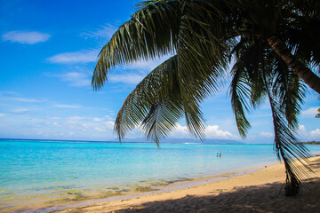 Tahiti Moorea stunning beautiful beaches, white sand, clear turquoise water, blue lagoons, Tahiti, French Polynesia, Pacific islands