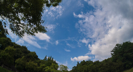 Fototapeta na wymiar 夏の綺麗な青空の風景