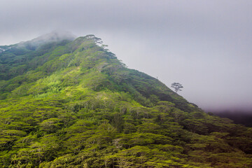 Tahiti beautiful green tropical mountains, rainforests, scenery, landscapes, Tahiti, French...