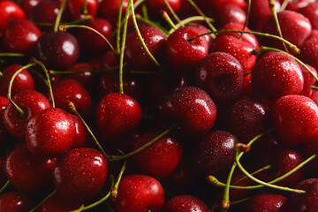 Sweet cherry as background, closeup