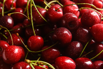 Sweet cherry as background, closeup