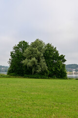 Wiese und Bäume am Vilstalsee bei Frontenhausen bei Dingolfing
