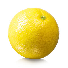 グレープフルーツ