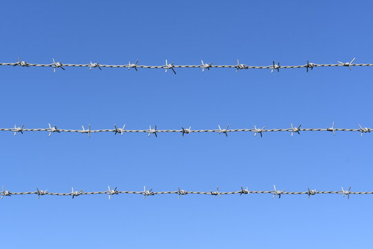 バラ線 Images Browse 74 Stock Photos Vectors And Video Adobe Stock