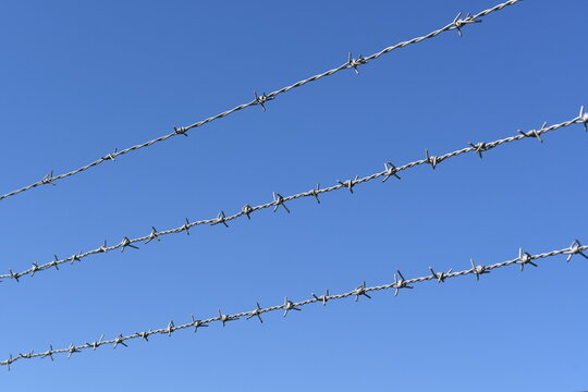 バラ線 Images Browse 70 Stock Photos Vectors And Video Adobe Stock