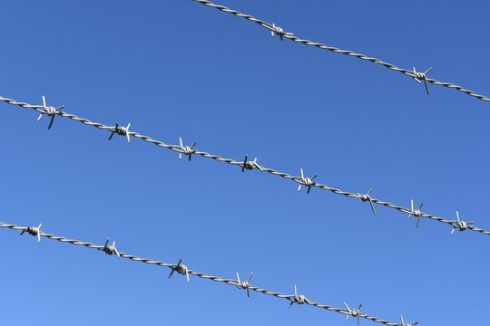 バラ線 Images Browse 70 Stock Photos Vectors And Video Adobe Stock