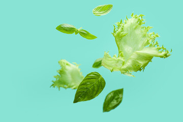 Flying basil leaves and lettuce salad on color background - obrazy, fototapety, plakaty