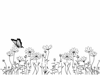 モノクロ手描きのコスモス畑に舞う蝶のイラスト