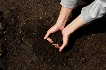 Close up hands holding sapling of young plants. Concept nature conservation. Hands Planting Young Tree Top View. Female hand holding sprout on nature field grass Forest conservation