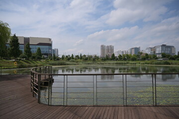 Fototapeta na wymiar beautiful park with pond and trees