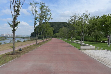 park with promenade path and Trees