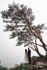 beautiful bride and groom stand on a cliff in the mountains under a tree in fog.