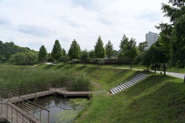 park with reeds and trees