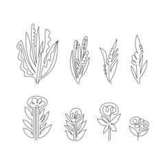Fototapeta premium Vector Set of Hand Drawn Line Art Botanical Elements, Leaves, Flowers. Minimalist Trendy Contemporary Design Perfect for Wall Art, Prints, Social Media, Posters, Invitations, Branding Design