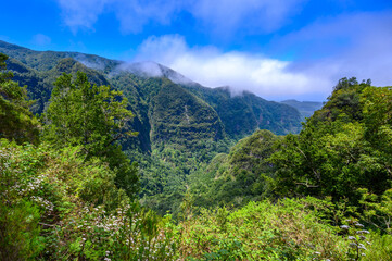 Fototapeta na wymiar Levada do Caldeirão - hiking path in the forest in Levada do Caldeirao Verde Trail - tropical scenery on Madeira island, Portugal.