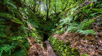 Levada do Caldeirão - hiking path in the forest in Levada do Caldeirao Verde Trail - tropical scenery on Madeira island, Portugal.