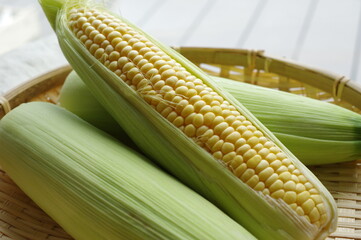採れたての新鮮なトウモロコシ