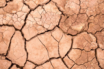 Dry clay soil texture during dry season