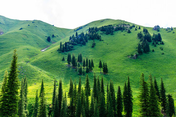 Nalati Grassland natural scenery in Xinjiang,China.