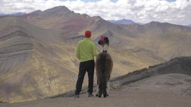 llama and model looking at mountain in the andes of cusco peru, seven colors rainbow mountains