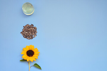Top view of fresh yellow sunflower with sunflower seeds, sunflower oil on blue background. Flat...