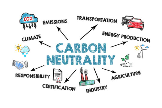 Carbon neutrality concept. Illustrative image of nature protection and pollution