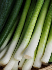 신선한 유기농 채소 파 
