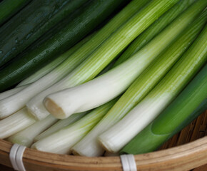 신선한 유기농 채소 파 
