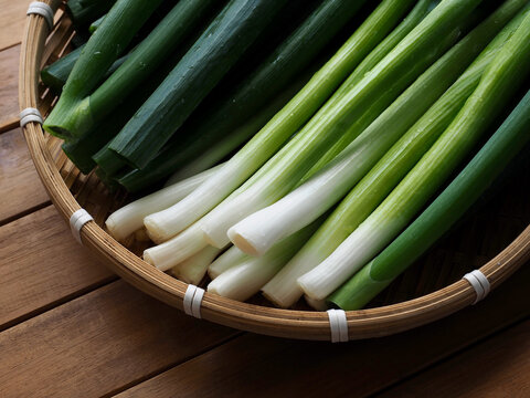 신선한 유기농 채소 파 
