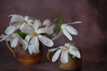 White magnolia in brown earthenware mug that stands on a wooden stand.