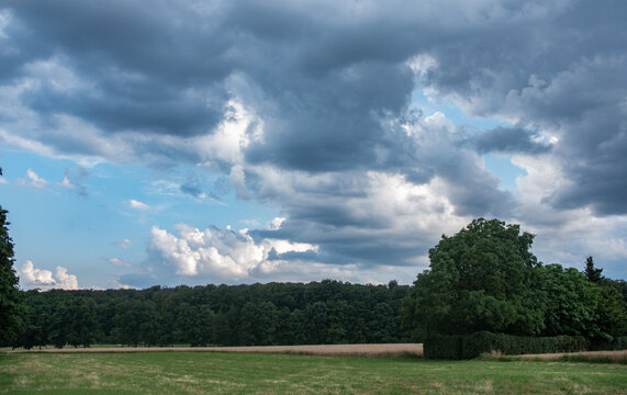 Landscape with meadow, field and forest and dramatic clouds in white and gray in the shadows. © Westlight