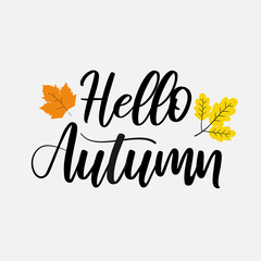 Hello autumn wth leaves vector illustration, autumn calligraphy in isolated background for greeting card, banner, poster, label and post card