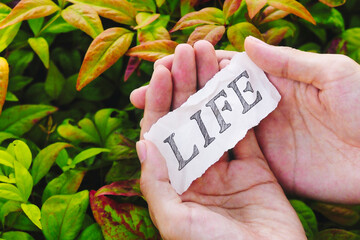 LIFEのメッセージ