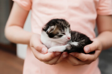 Little girl holding a little kitten with closed eyes in her arms