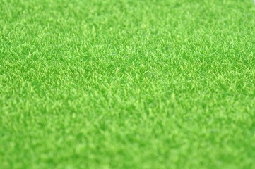 green artificial turf on natural light background