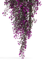 Cropped subject shot of flowing ampelous plant with violet flowers. Fine faux flowers for interior...