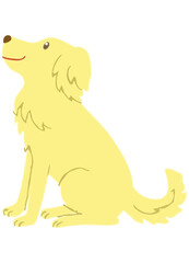 A dog sitting and looking up