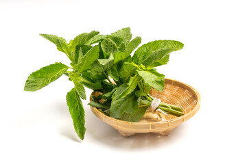 Thai Basil Leaves isolated on white
