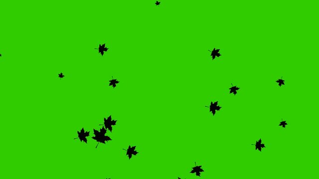 Animated background with black autumn leaves. Motion autumn leaf fall. It is falling. Vector flat illustration isolated on the green background.