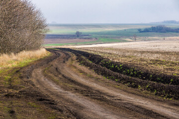 dirt road in the spring steppe