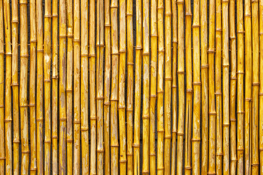 Bamboo Fence Background Texture